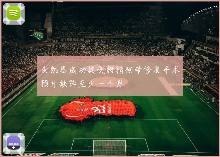 麦凯恩成功接受拇指韧带修复手术预计缺阵至少一个月