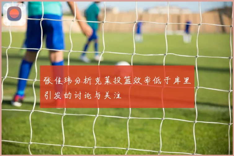 张佳玮分析克莱投篮效率低于库里引发的讨论与关注